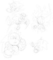 Sonic sketches