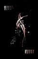 Sequence - 0005 - Whilst