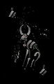 Sequence - 0015 - Sark