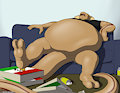 Lazy Snake by Immelmann