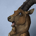 OFC Portrait