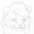 Furrnion stuff - Sketch by Dorian