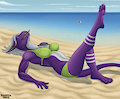 Sexy Beach Pinup by Danza