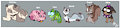 *ADOPTABLE PETS* 3/3