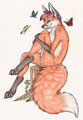 Fox And Butterflies