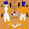 Kyte The Foxbunny Reference