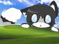 Erika Wallpaper