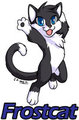 Happy Kitty is Happy! by jc