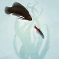 Betta Rampage