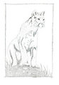Stippling Cougar by CCLebo