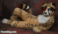 Kwik Cheetah by Lacy