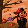Time for Fall!
