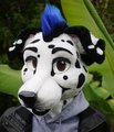 my fursuit head by njhcerebus