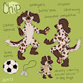 Chip Ref Sheet by UrbanSaint