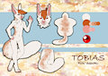 Tobias stormclaw by KaidaPendragon