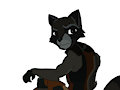 Rocket Raccoon by RocketCoon