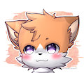 Soft Color Practice
