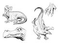 Ptergator (Style 2) by faithslayer202