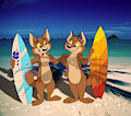 Surfer 'Yotes