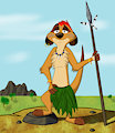 Timon-warrior