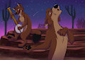Sing Yer Heart Out!