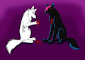 Kage's heart in snow white paws