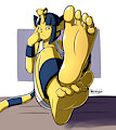 Pawday: A little demanding by QuiteSplendid