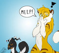 Meep!