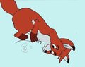 The Fox