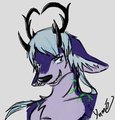 Niels -randomdoodle-