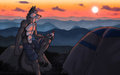 Blue Ridge Camping