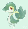 Snivy by MsKtty89