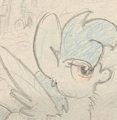 Sketchy Pony