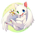 Birthday gift to Kino