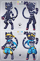 Commission to ss24683891
