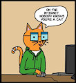 Internet Cat