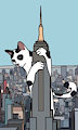 Kat Kong