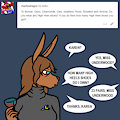 ASK BONNIE & CO 631