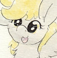 Excitaderp