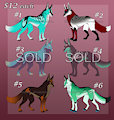Wolf Adopts Set 12 [4/6 OPEN]