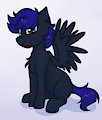 Dogepony Profile Pic