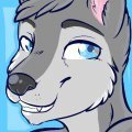 Wolfe Masters Icon 