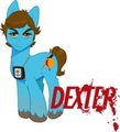 Slice of Pony