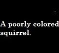 Sqrl