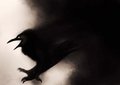 immortality by Hairtuss