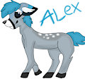 Alex by RocksRuff