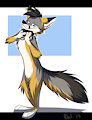 Dapper fox and his bowtie