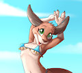 *C*_Dance of the crashing waves by Fuf