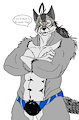 ten new speedo (colored)
