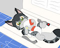 *C* jade needs a changy ^^
